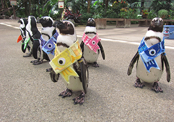 写真：ペンギンのイベント