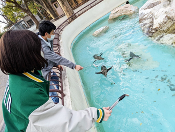 写真：ペンギンのイベント