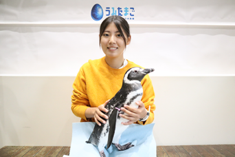 写真：ペンギンのイベント