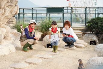 写真：ペンギンのイベント