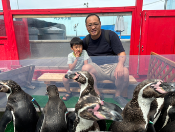 写真：ペンギンのイベント