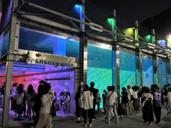 写真：ペンギンのイベント
