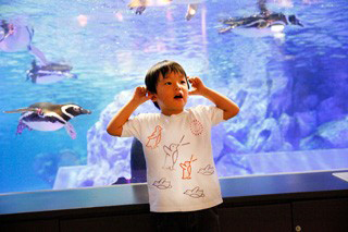 ペンギン