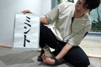 ペンギンニュースを掲載しました!