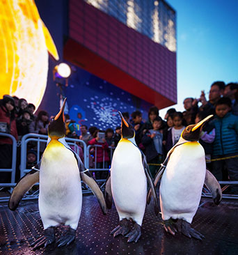 ペンギン