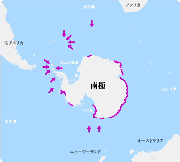 アデリーペンギンの繁殖地