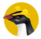 フィヨルドランドペンギン