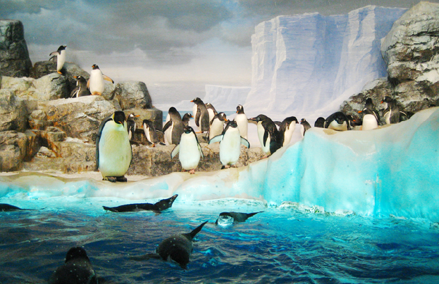 名古屋港水族館