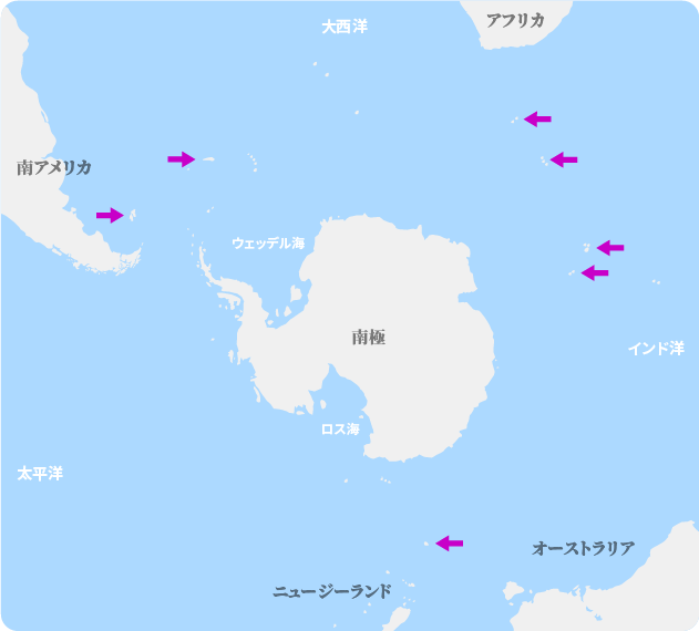 キングペンギンの繁殖地