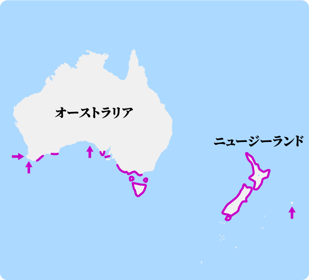 コガタペンギンの繁殖地