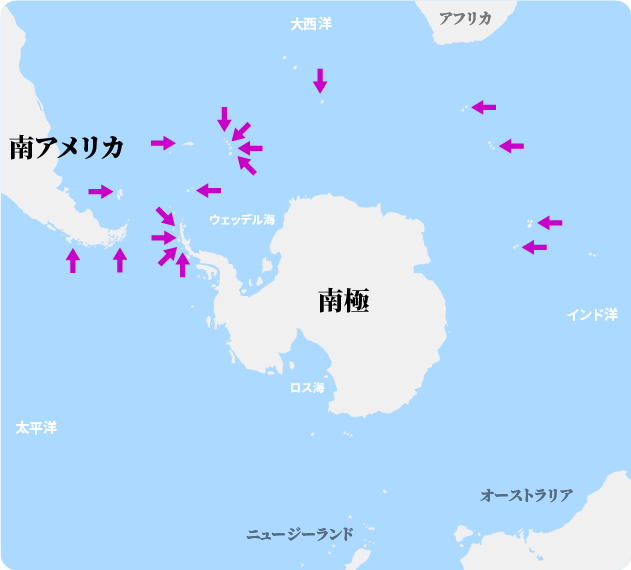 マカロニペンギンの繁殖地