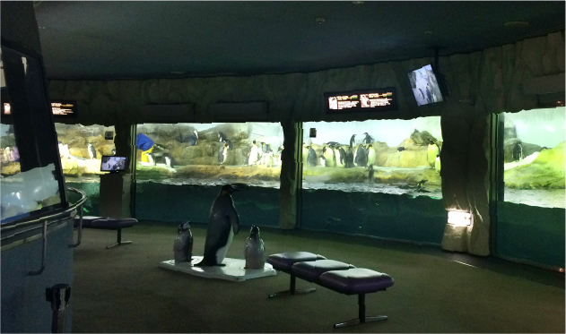 動物園・水族館・遊園地が一体化した大規模テーマパーク