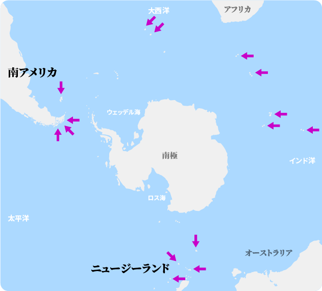 イワトビペンギンの繁殖地