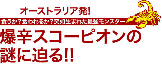 オーストラリア発！食うか？食われるか？突如生まれた最強モンスター　爆辛スコーピオンの謎に迫る!!