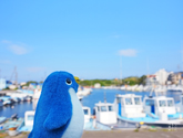 キューブのおでかけ写真館