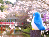キューブのおでかけ写真館