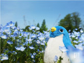 キューブのおでかけ写真館