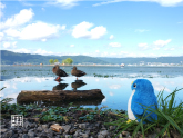 キューブのおでかけ写真館
