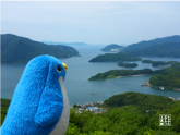 キューブのおでかけ写真館