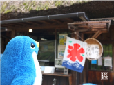 キューブのおでかけ写真館