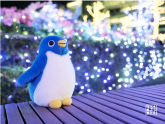 キューブのおでかけ写真館