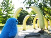 キューブのおでかけ写真館