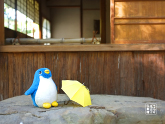 キューブのおでかけ写真館