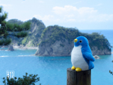 キューブのおでかけ写真館