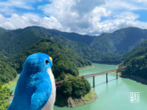 キューブのおでかけ写真館