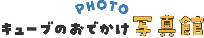 キューブのおでかけ写真館