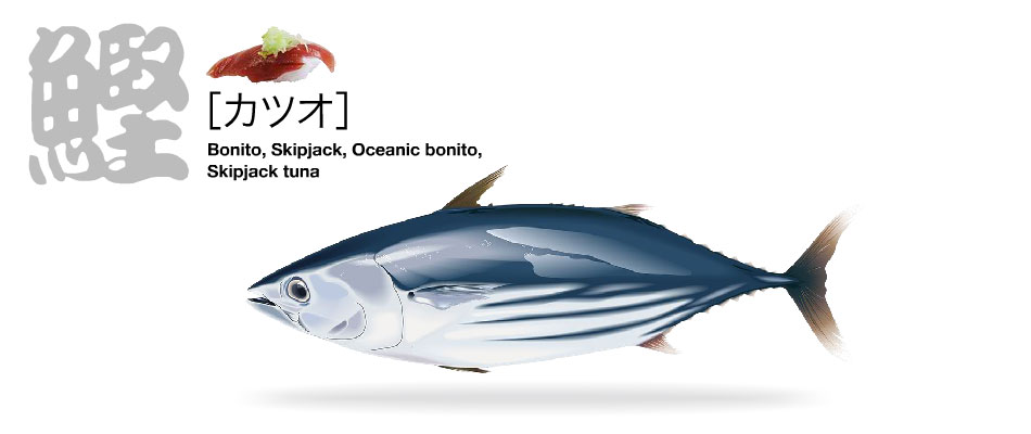 katsuo