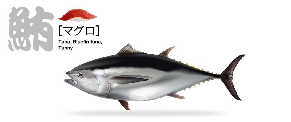 maguro