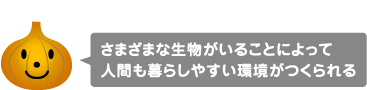 さまざまな生物がいることによって人間も暮らしやすい環境がつくられる