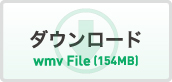 ダウンロード（wmv形式/154MB）