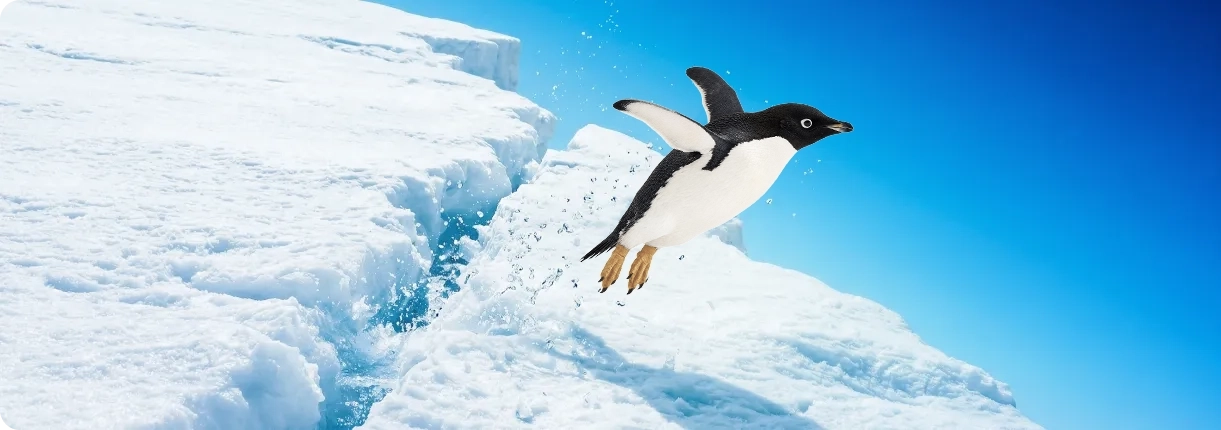 氷の崖から海へ飛び込むペンギン
