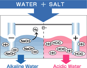 diagram.gif