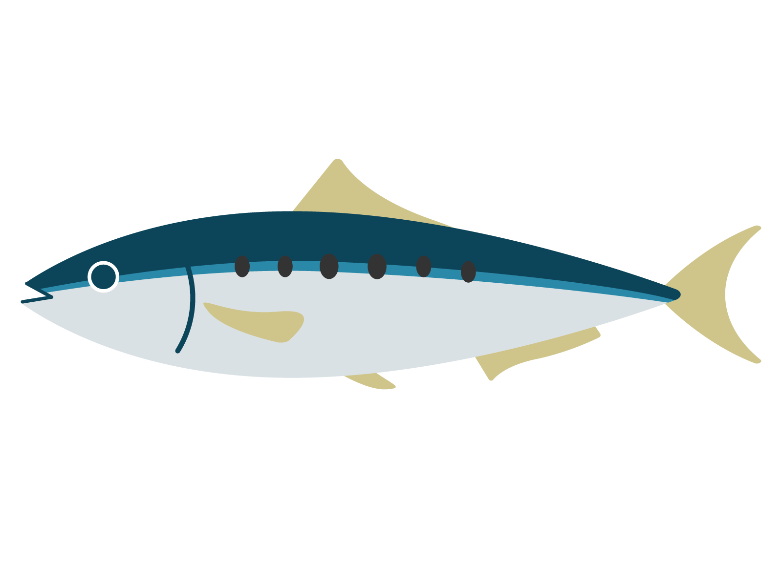イワシのイラスト