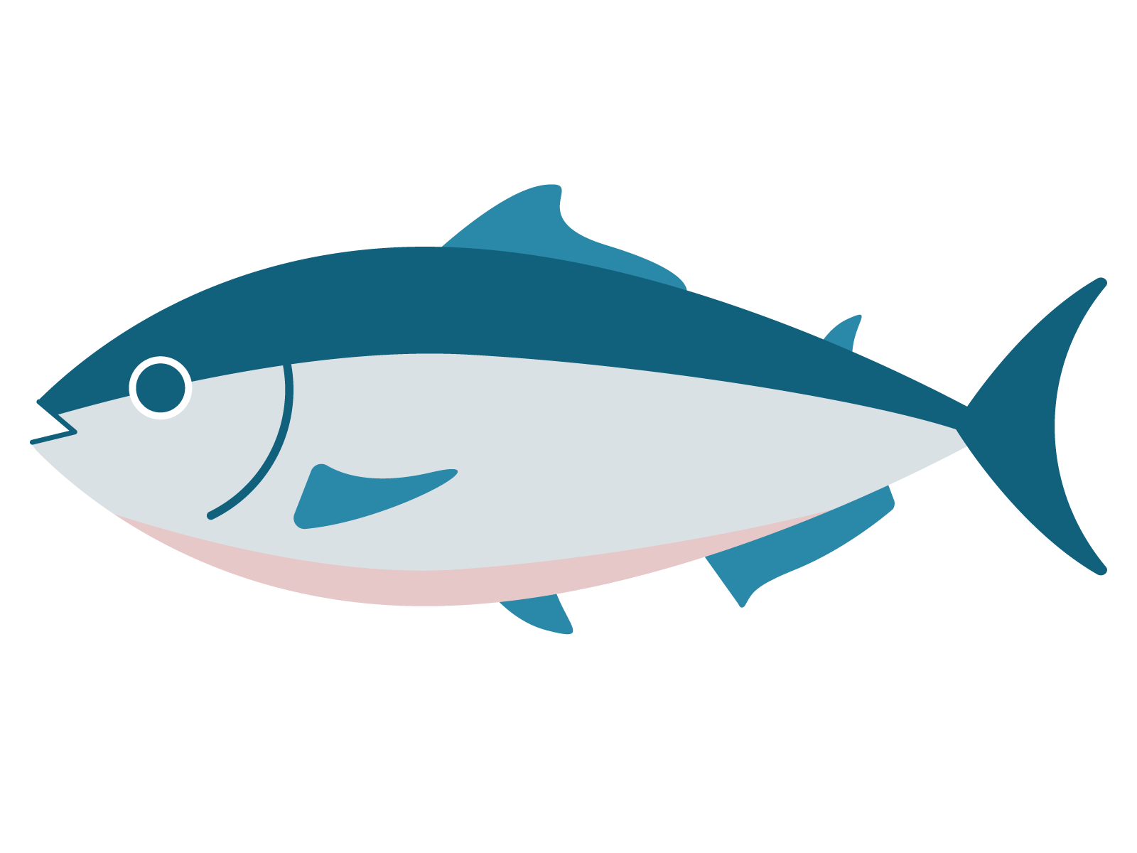 サケのイラスト
