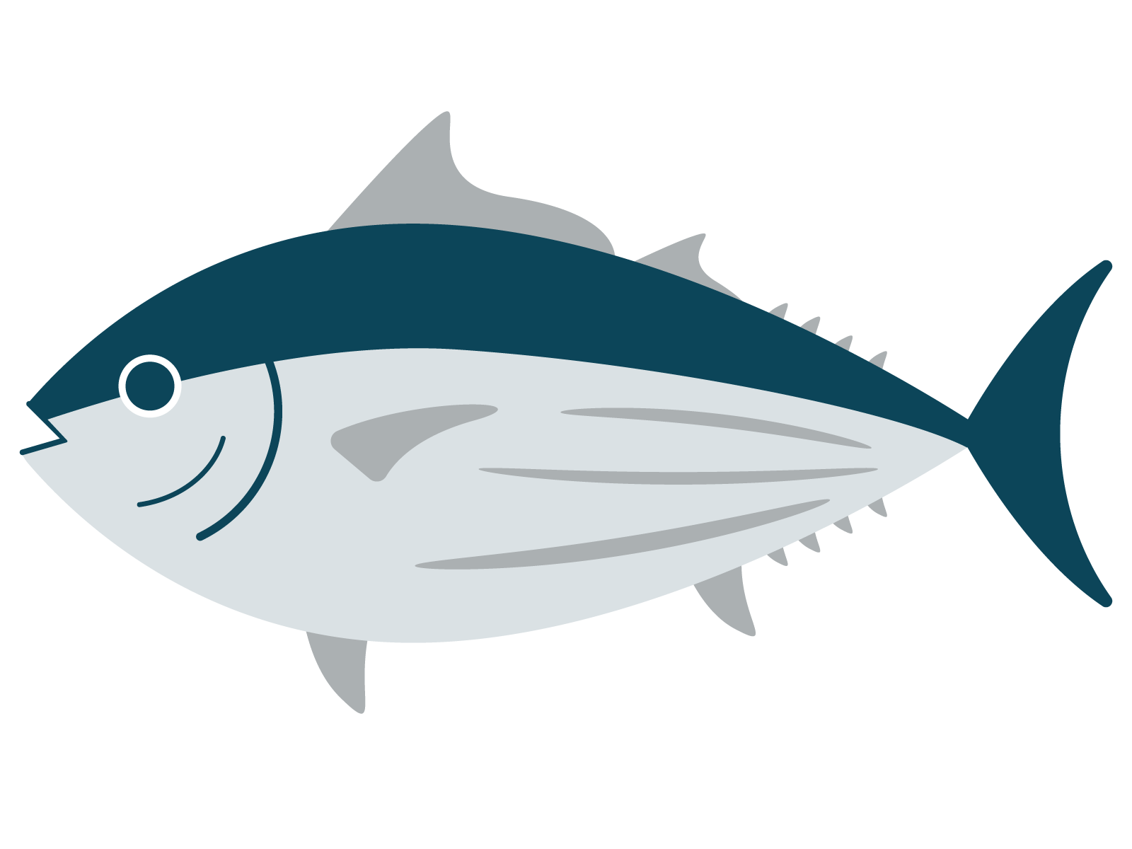 カツオのイラスト