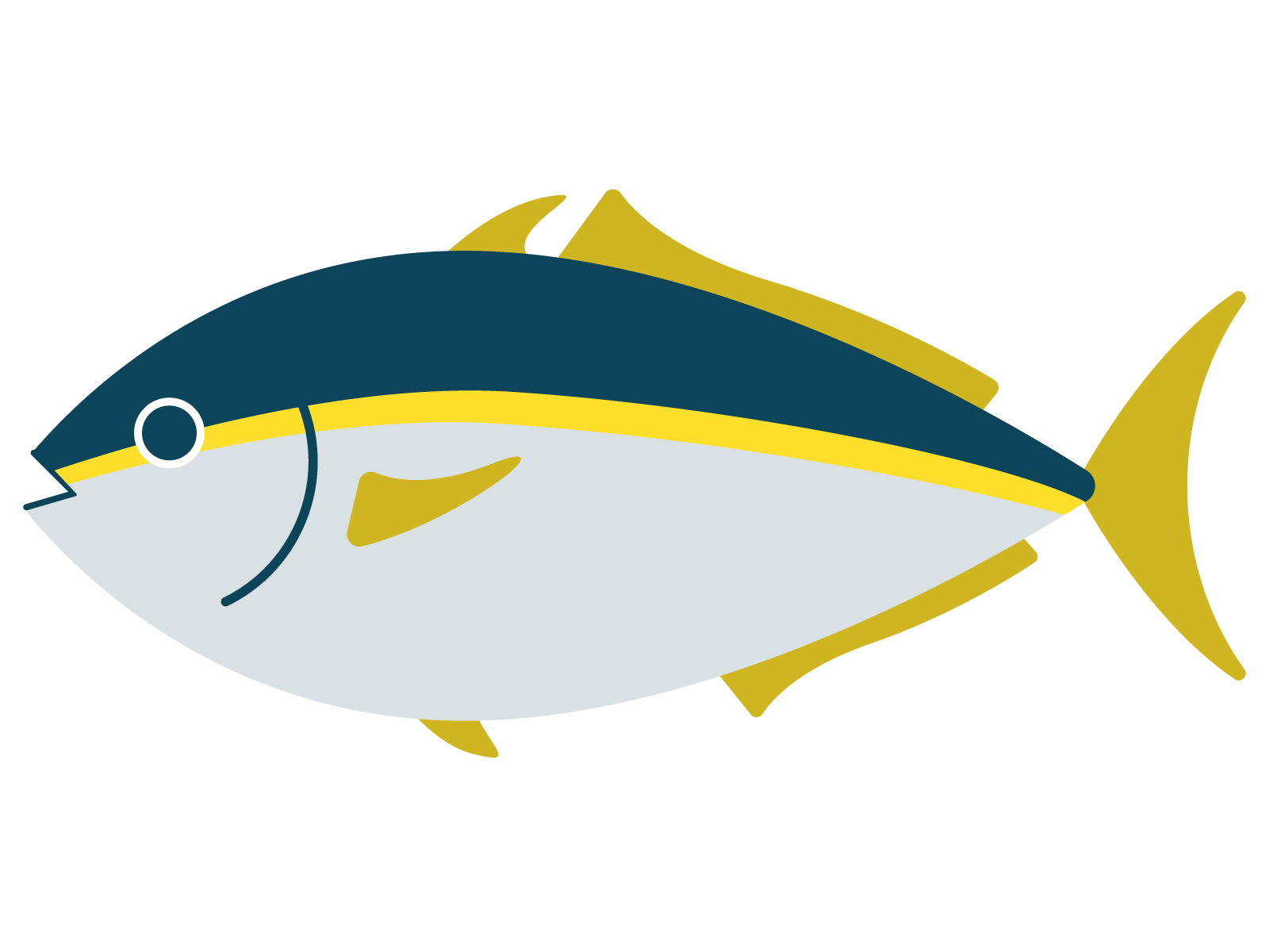 イナダのイラスト