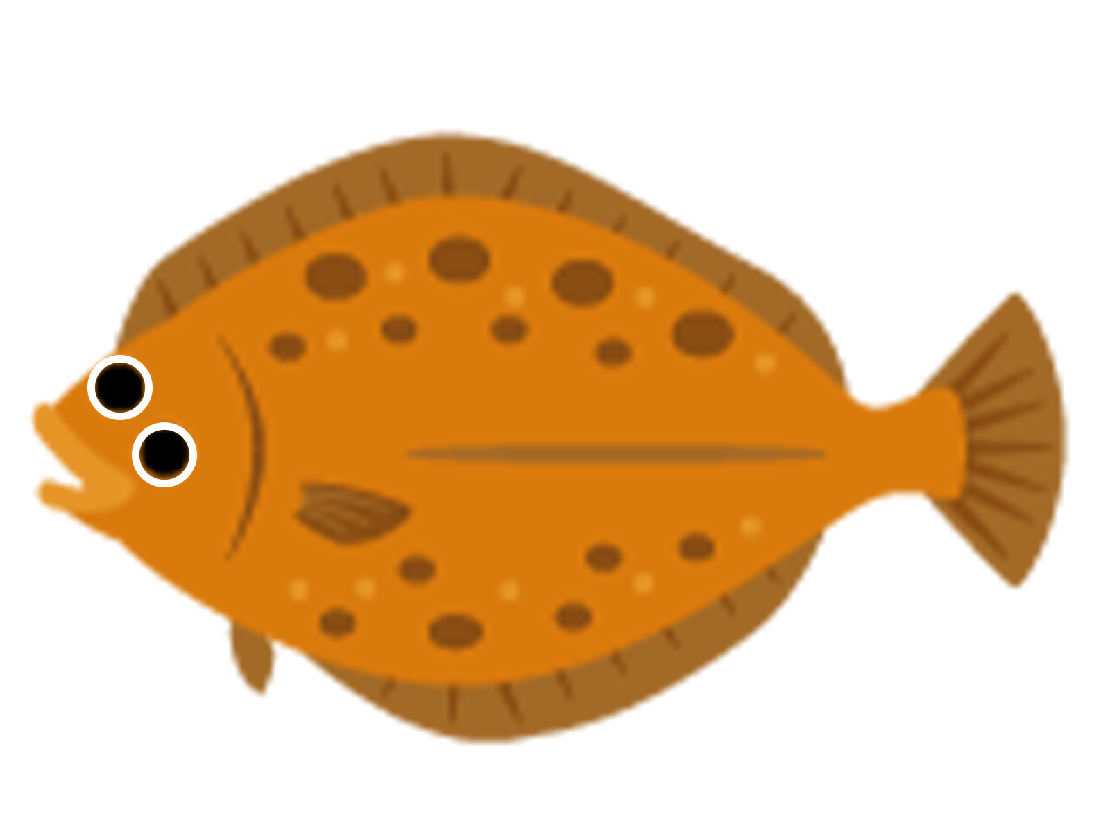 ヒラメのイラスト